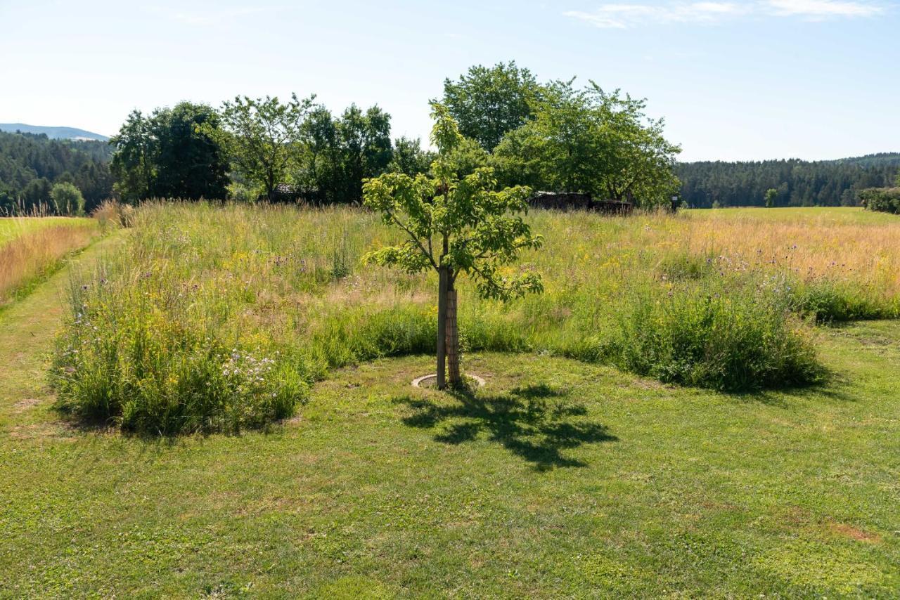 Moderne, Gemuetliche Dg-Wohnung In Ruhiger Lage Neunburg vorm Wald Εξωτερικό φωτογραφία